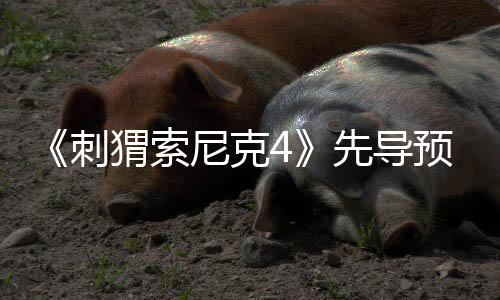 磅新先导袭来空降重预告猬索强势角色尼克刺