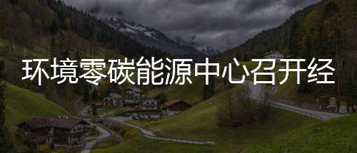 半年中心召开指标总结环境会一降五增经营能源年上零碳了实现
