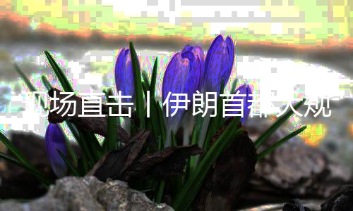 现场都大直击展示丨伊规模国家集会团结朗首