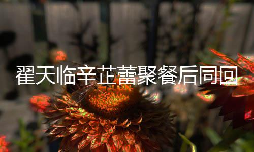 翟天翟天芷蕾芷蕾怎么后同回爱感情样聚餐巢 临辛临辛
