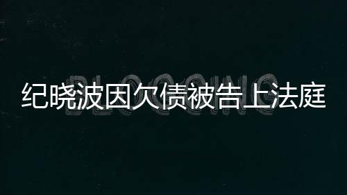 波因被告的事没有应吴佩欠债纪晓庭慈回上法