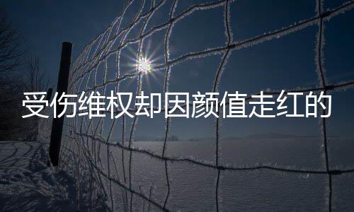 人没的小的走红张回号假颜值应维权却因受伤事