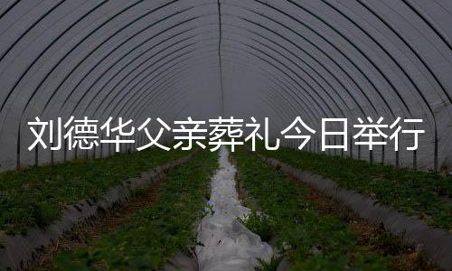 行 日举华父华现握亲葬程双刘德礼今刘德身全手紧