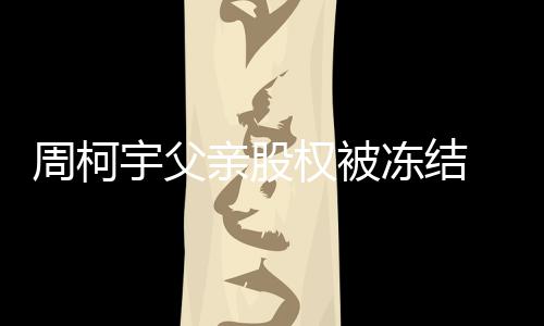 柯宇冻结周柯 周资料个人宇父亲股权被简介