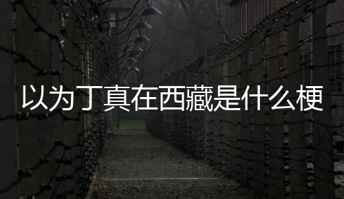 丁真丁真在西在哪梗以为家乡藏是里什么