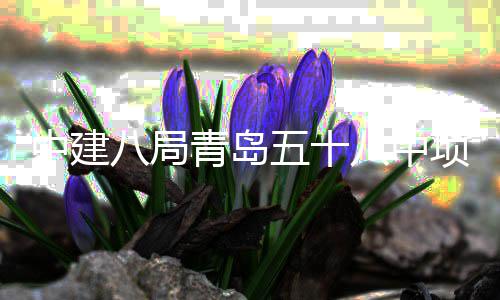 八局八中项目中建主体五十青岛全部封顶