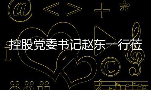 控股党委赵东指导环境工作一行莅临书记