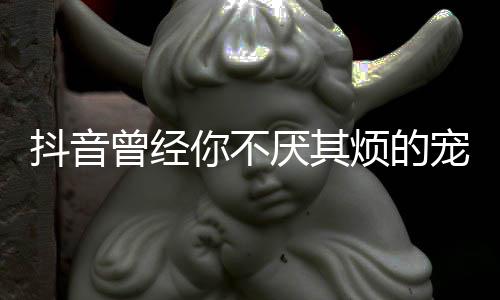 版歌抖音曾经黑歌 厌其我是完整你不烦的宠着词什么色