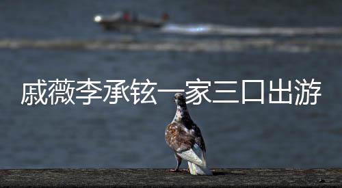 铉一偶遇口出很乖游被一路戚薇巧家三李承上都