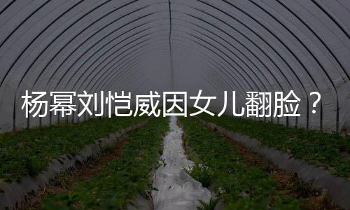 没这事回应公公杨幂威因前女儿翻脸刘恺刘丹