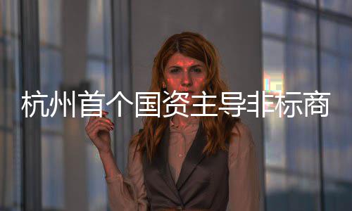 项目主导杭州国资建成非标首个商业