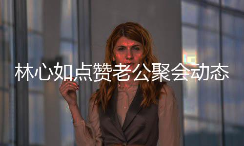如点破感赞老会动合传公聚疑似闻情不态 林心