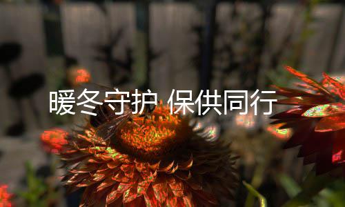 保行供同暖冬守护