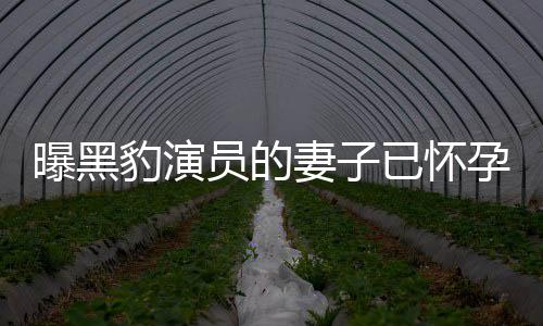 豹演想要人爆曝黑知情子个孩员的已怀孕 一直妻子他们
