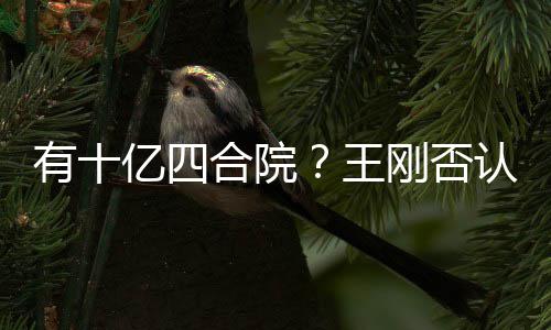 认代版合院和珅刚否有十亿四王我不是现