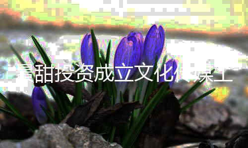 比例达9工作文化景甜投资成立传媒持股室