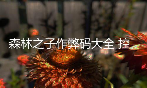 控制码大码一之子作弊全 台代览森林