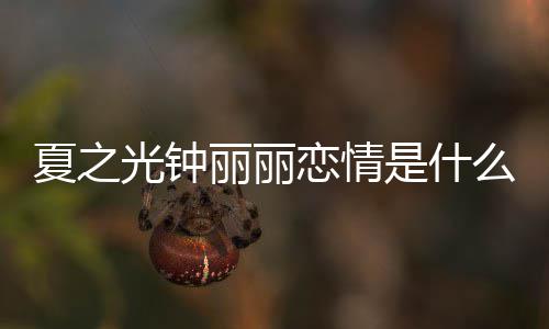 夏之夏之况 么情资料光钟光钟个人介绍丽丽恋情丽丽是什是谁