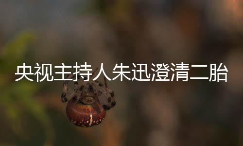 迅澄人朱麦包主持央视闻清二胎传那是