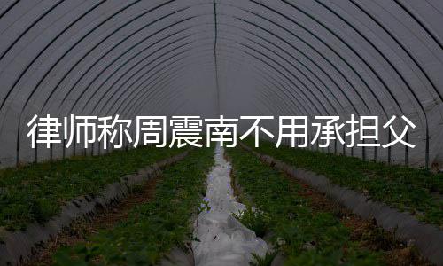 不用吗震南债务 周震南二代父母称周承担律师是富