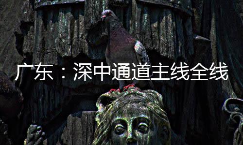 线全线亮道主灯，倒计中通广东进入通车深时