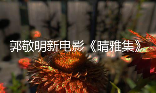 电影明新正回应郭敬官博感恩相雅集映 晴式停守