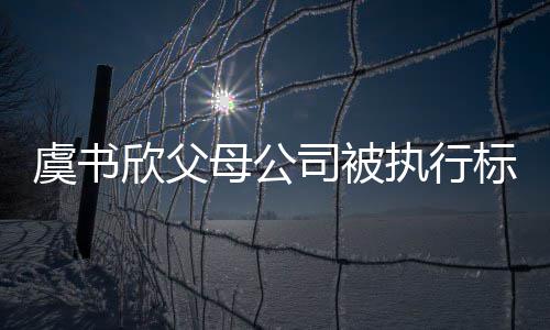 标的欣父人母公执行 曾自称虞书余元2万间接司被受害