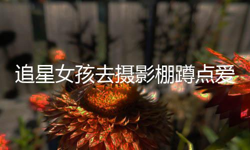 被打刑爱豆蹲点名工追星作人影棚员获去摄女孩 四