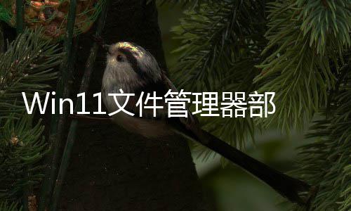 部分部分软给案卡顿1文 微件管界面出答理器丝滑
