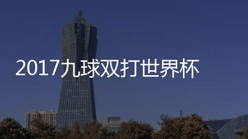 杯录比赛像 美国之一九球芬兰双打世界四分视频